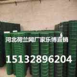 B(yng)ֳmW(wng)1.8x30mSҶ