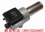 herzI(y)L(fng)l62leisterfle5000