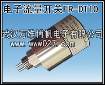供應(yīng)電子式流量開(kāi)關(guān)FR-DT10