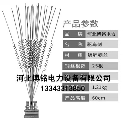 _(d) ·(q)BP䓷B̏ͷB(q)B