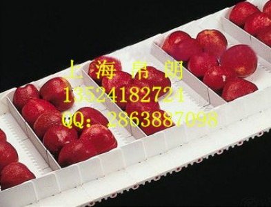 ʳƷ(j)ϾW(wng) ʳƷ(j)ϾW(wng)朏S ʳƷ(j)ģKW(wng)會r(ji) 