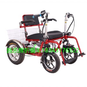 施樂輝出口老年代步四輪電動(dòng)車48v神瑪
