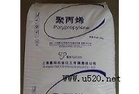 (yng)PP K8003 Ϻِ