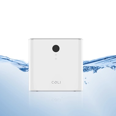 coliˮȫ֧o