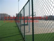 \W(wng)|P䓹W(wng)|W(xu)УوoW(wng)|FzW(wng)b
