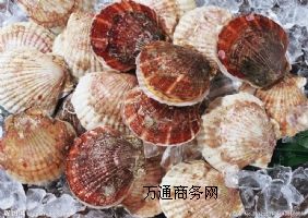 rMڴPzuƴMڴ