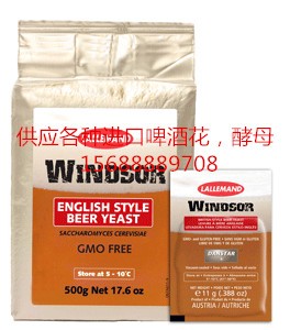 ӢwindsorɯĸӢL(fng)ĸ