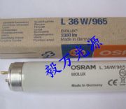 W˾d65l36w/965(bio)(zhn)Դ