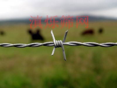 (yng)FzSֱNl(f)r