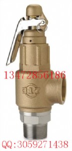 _(ti)317~ȫysv-b29s3w-lr
