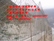 |б(dng)o(h)W(wng)S|б(dng)W(wng)Xһƽ|