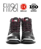 ЎͱůڱЬfh15-1207޿