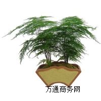 ֲ҃[,hֲ҃[