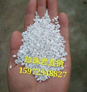 黃石珍珠巖廠/珍珠巖價(jià)格