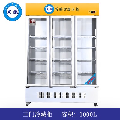 Ӣi-1000l