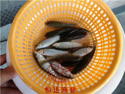 _(d)OI(y)~磬⵹̰~l(f)