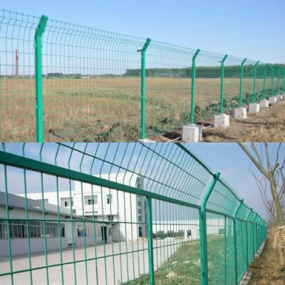 @ȦFzoW(wng) ٹ·xW(wng)GɫھW(wng)