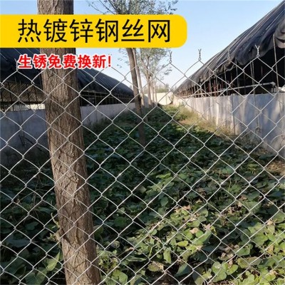 2mm֑W(wng)W(xu)Уوo(h)W(wng)W(xu)Уw