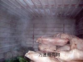 rʳŴكҺϷʢѩ