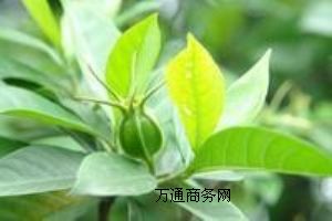 (yu)|(zh)Чζ