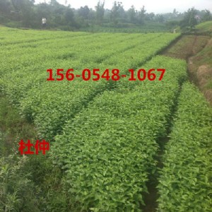 (yng)3ֶكr(ji)4֡56ֶ٘