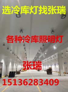 24v冷庫應(yīng)急燈防爆燈