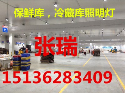 冷庫照明燈,低壓冷庫燈