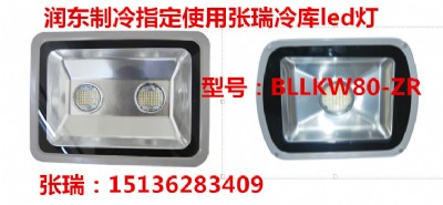 防爆型冷庫燈50w冷庫燈