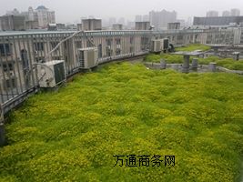 픻@e_G픾G