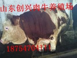 (j)ţB(yng)ֳ(chng),ţB(yng)ֳ