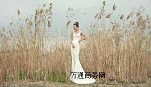 ʥzӰݻ鼆xʲô(ji)＾Ļ鼆⾰]