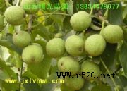 8518(yu)|(zh)޽Ӻ(D)