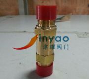 ȫy21g10mn-tf 1-nptDƬ