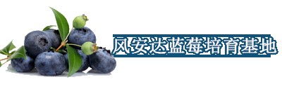 xrg{ݮl(f)Nֲ߮a(chn)ǉ