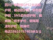 Fdx߅·o(h)W(wng)SǭϹ·rʯW(wng)䓽zW(wng)^UKS