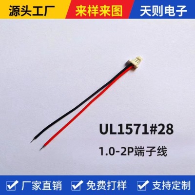 1.0Ӿ