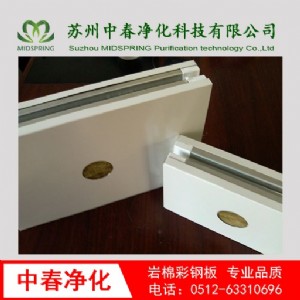 中春凈化 醫(yī)美凈化門美式醫(yī)院門復(fù)合材質(zhì)醫(yī)療門防火耐磨可定制