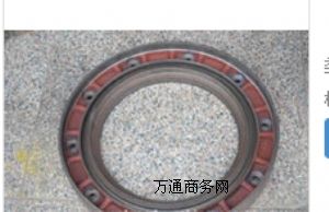(yng)(yu)|(zh)ɽC(j)SD16m16Y-18-00041