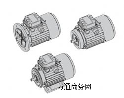 MOTOVARIO T/TS(bio)(zhn)늙C(j)