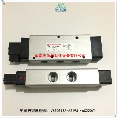 v63d513a-a219jӢ(gu)Z늴ynorgren