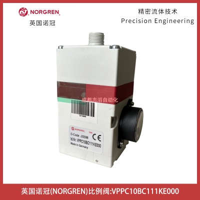 vppc10bc111ke000ӢZڱy