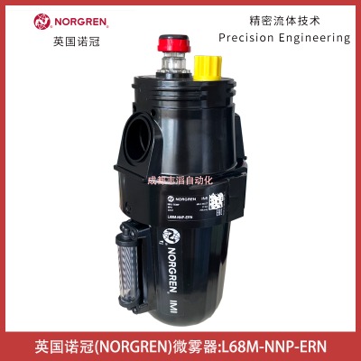 L68M-NNP-ERNӢZ΢FNORGREN՚̎