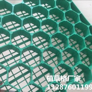 ֲݸr/4ֲݸ