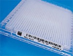 (sh)(yn)b-423΢(bio)