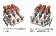 fzn25-12߉ؓ(f)_(ki)P(gun)