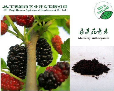 ɣȡ25W(bio)