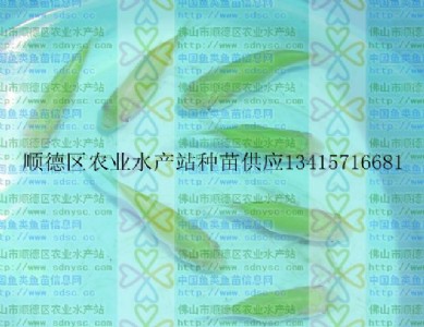 ~硢~~Ʒ