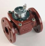 中口徑水平螺翼式流量傳感器