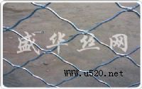 W(wng) 2013(bo)r(ji)