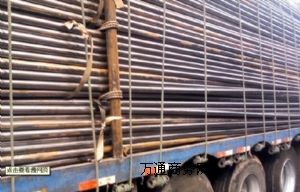 ُȪy15612759879